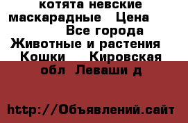 котята невские маскарадные › Цена ­ 18 000 - Все города Животные и растения » Кошки   . Кировская обл.,Леваши д.